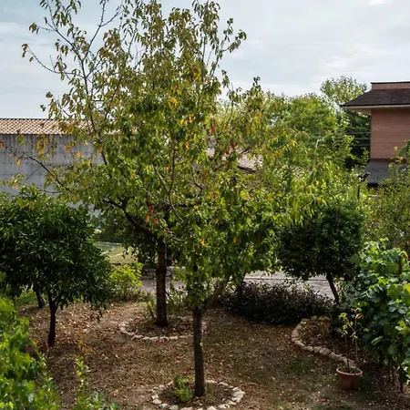Borgo Del Piano 