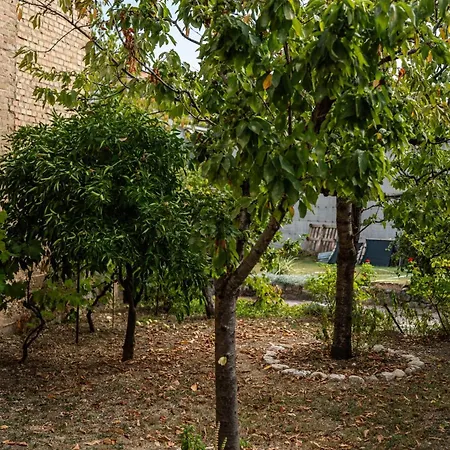 Tatil Evi Borgo Del Piano 