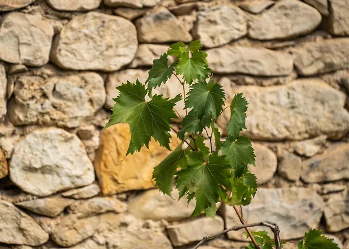 Σπίτι διακοπών Borgo Del Piano 